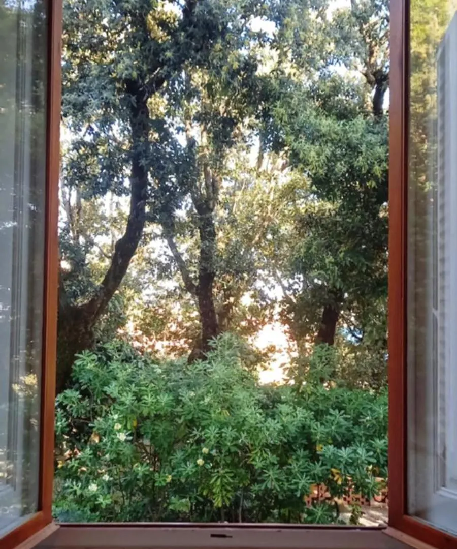 Appartamento In Villa Sul Mare Castiglioncello Ferienhaus